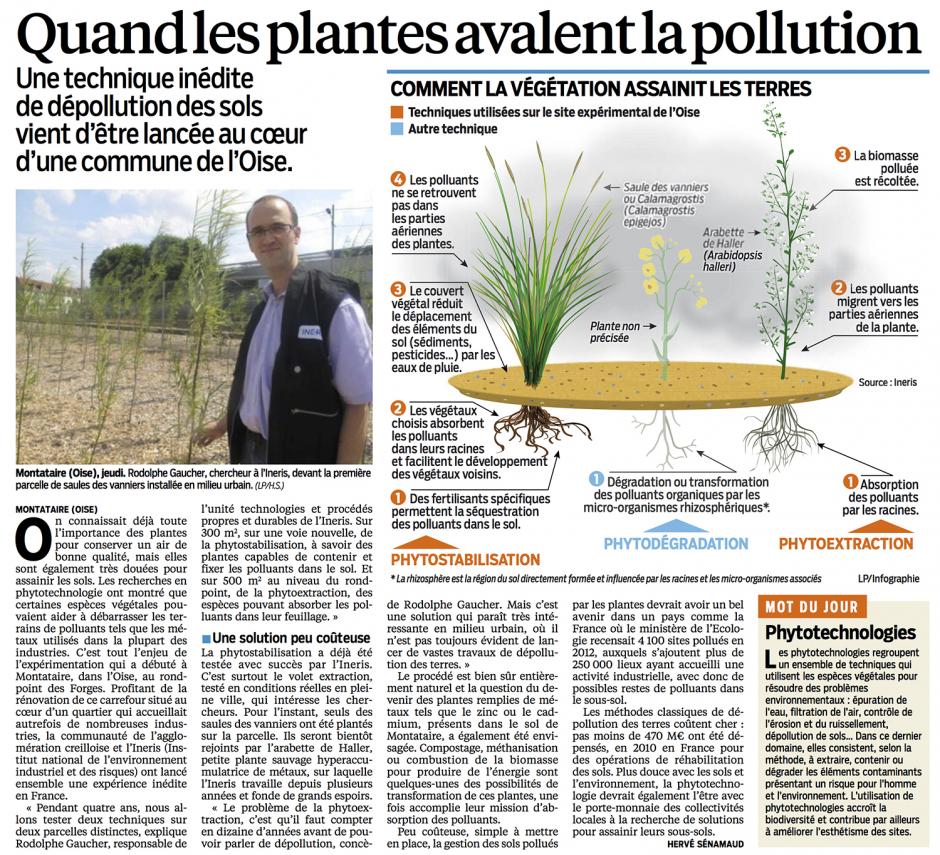 20130812-LeP-Montataire-Quand les plantes avalent la pollution