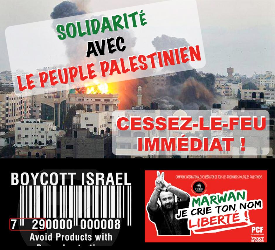 Solidarité Palestine • Arrêtons le carnage à Gaza !
