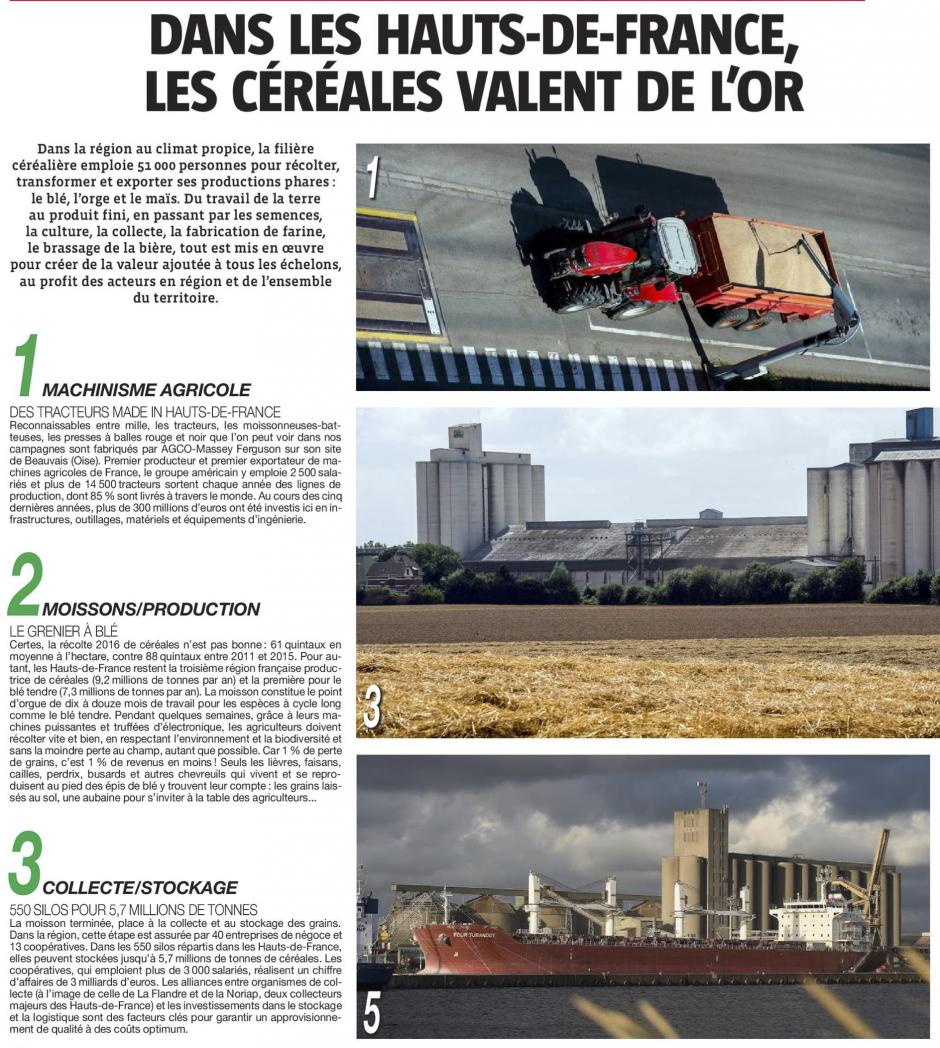 20161123-CP-Hauts-de-France-Dans la région, les céréales valent de l'or